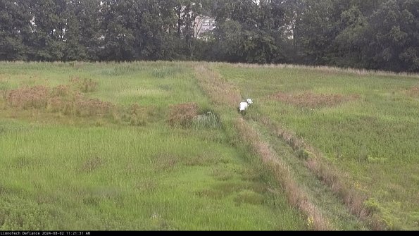 Cell 3 to 4_24-08-02_11-21-32-32