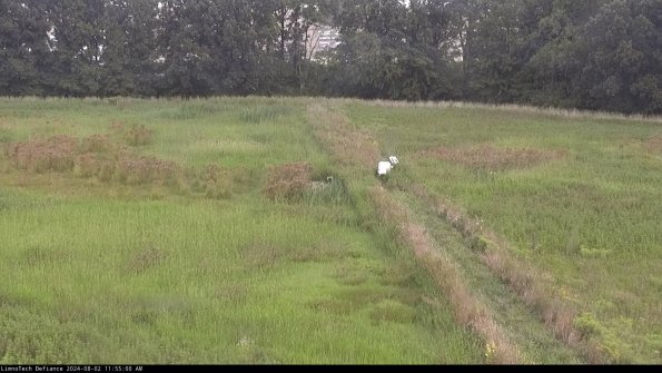 Cell 3 to 4_24-08-02_11-55-01-34