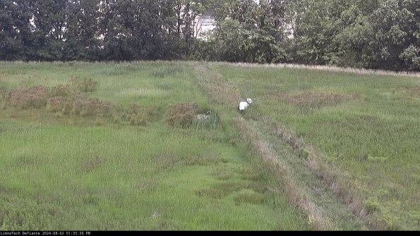 Cell 3 to 4_24-08-02_13-35-31-33