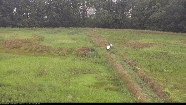 Cell 3 to 4_24-08-02_15-49-29-35