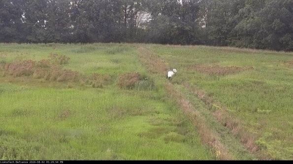 Cell 3 to 4_24-08-02_17-29-55-34