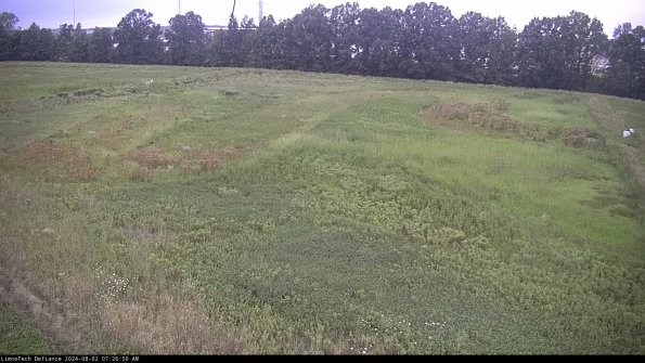 Cell 3_24-08-02_07-26-51-33