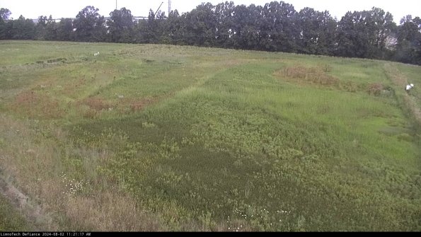 Cell 3_24-08-02_11-21-18-31