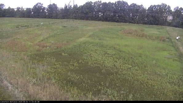 Cell 3_24-08-02_11-54-47-33