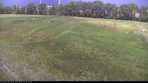 Cell 3_24-08-02_13-35-17-35