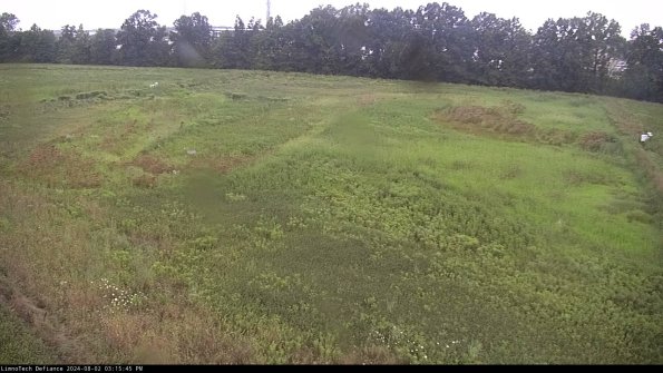 Cell 3_24-08-02_15-15-46-35