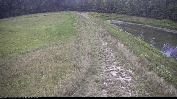 Cell 4 to Basin_24-08-02_07-27-49-32