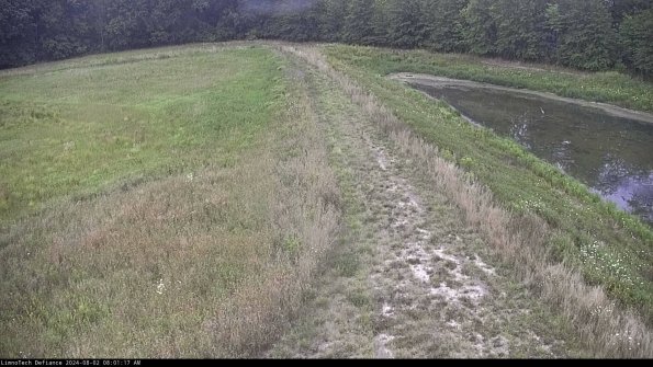 Cell 4 to Basin_24-08-02_08-01-18-31