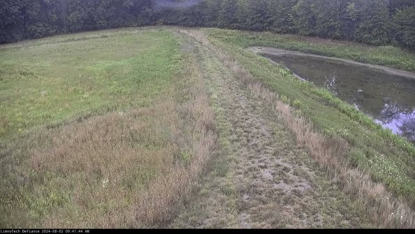 Cell 4 to Basin_24-08-02_09-41-45-37