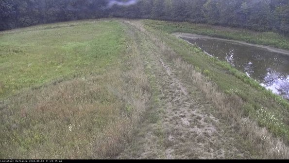 Cell 4 to Basin_24-08-02_11-22-16-33