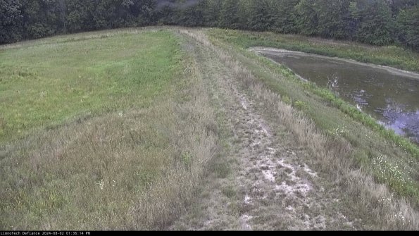 Cell 4 to Basin_24-08-02_13-36-15-35