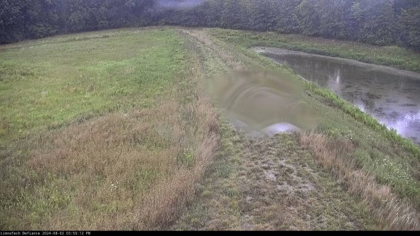 Cell 4 to Basin_24-08-02_15-50-13-36