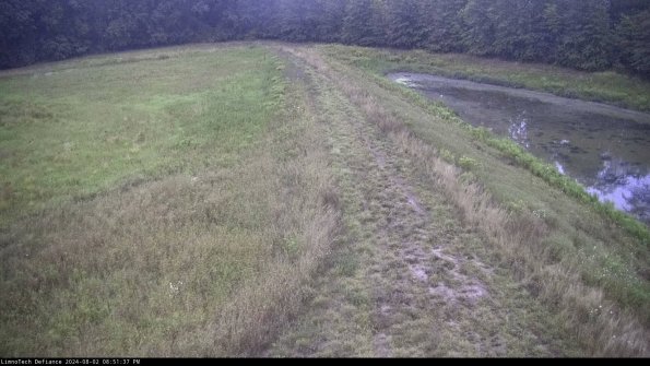 Cell 4 to Basin_24-08-02_20-51-38-34