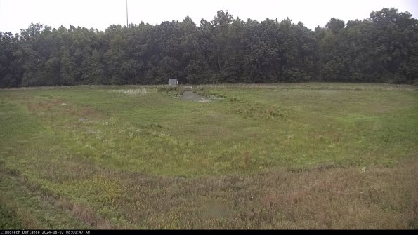 Cell 4_24-08-02_08-00-48-31