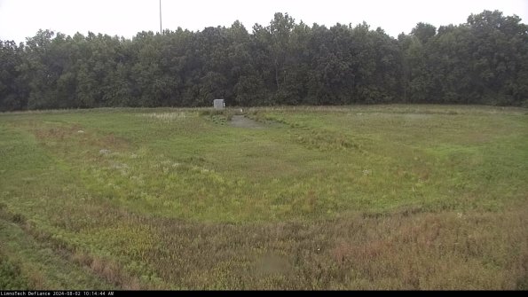 Cell 4_24-08-02_10-14-45-32