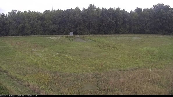 Cell 4_24-08-02_11-55-15-32