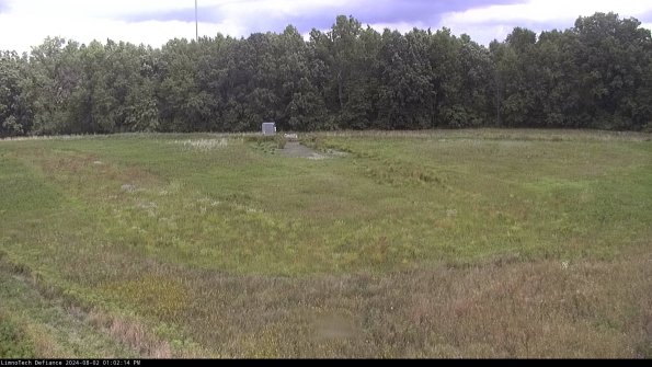 Cell 4_24-08-02_13-02-15-33