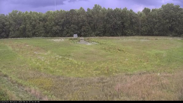 Cell 4_24-08-02_13-35-45-35