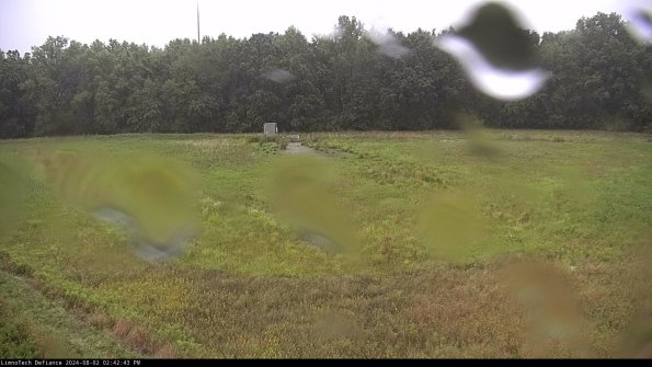 Cell 4_24-08-02_14-42-44-32