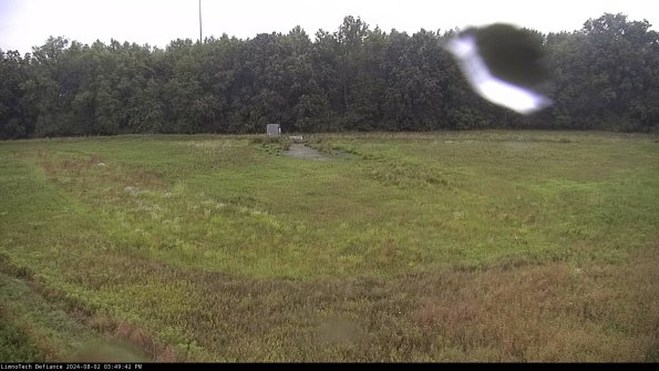 Cell 4_24-08-02_15-49-43-33