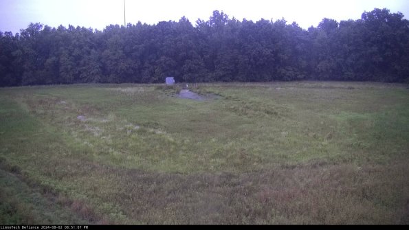 Cell 4_24-08-02_20-51-08-31