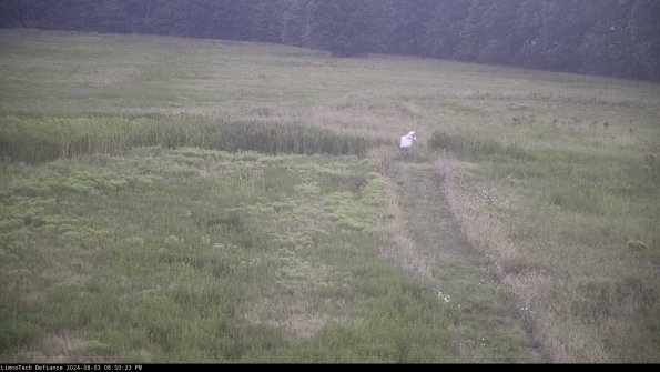 Cell 1 to 2_24-08-03_20-50-24-34