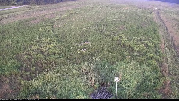 Cell 1_24-08-03_07-26-25-37