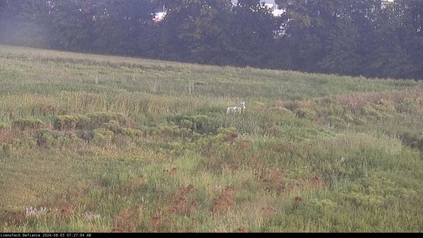 Cell 2 to 3_24-08-03_07-27-05-41