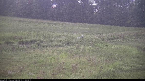 Cell 2 to 3_24-08-03_20-50-50-53