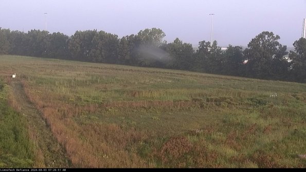 Cell 2_24-08-03_07-26-52-39