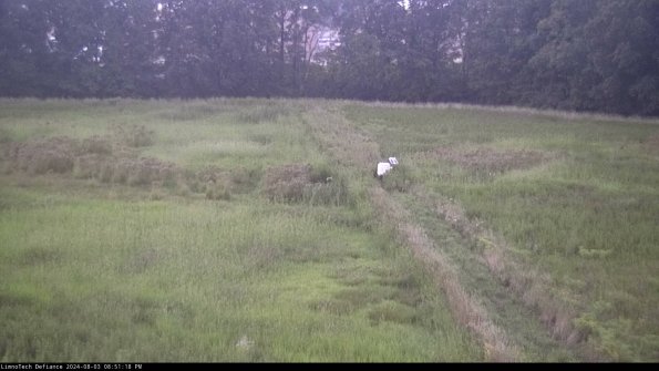 Cell 3 to 4_24-08-03_20-51-19-36