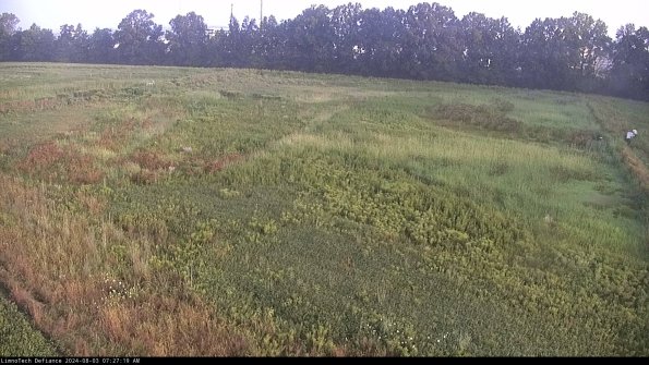 Cell 3_24-08-03_07-27-19-62