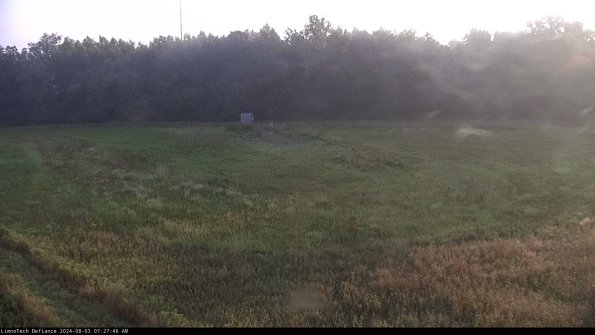 Cell 4_24-08-03_07-27-47-38