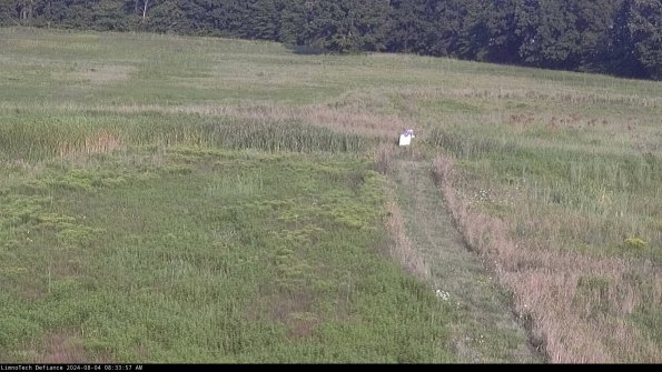 Cell 1 to 2_24-08-04_08-33-58-35