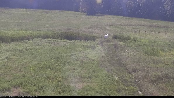 Cell 1 to 2_24-08-04_18-03-17-36