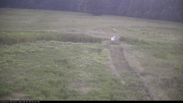 Cell 1 to 2_24-08-04_20-50-43-32