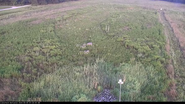 Cell 1_24-08-04_07-26-44-36