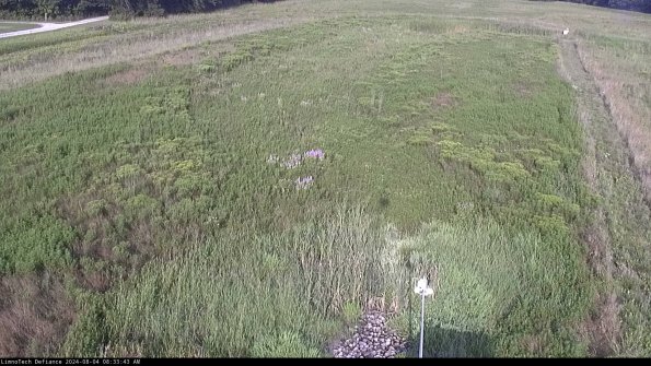 Cell 1_24-08-04_08-33-44-33