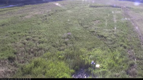 Cell 1_24-08-04_18-03-03-38