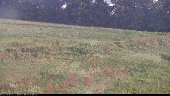 Cell 2 to 3_24-08-04_07-27-24-57