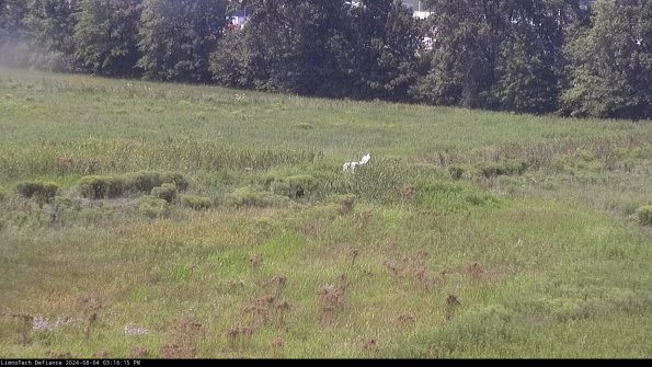 Cell 2 to 3_24-08-04_15-16-15-53