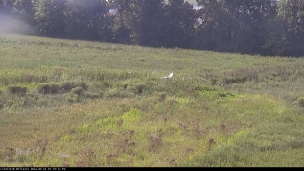 Cell 2 to 3_24-08-04_17-30-14-53