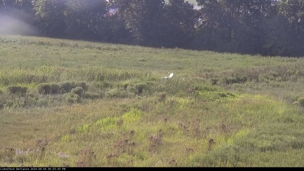 Cell 2 to 3_24-08-04_18-03-43-45