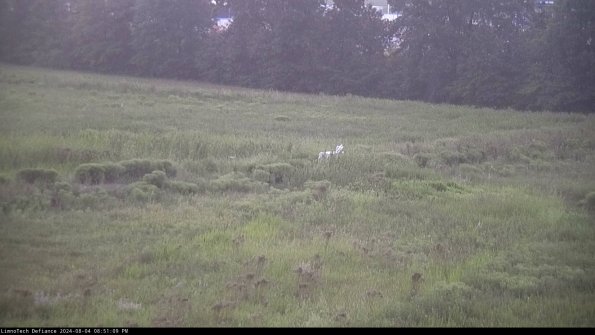 Cell 2 to 3_24-08-04_20-51-09-45