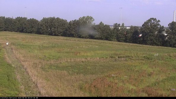 Cell 2_24-08-04_09-07-39-41