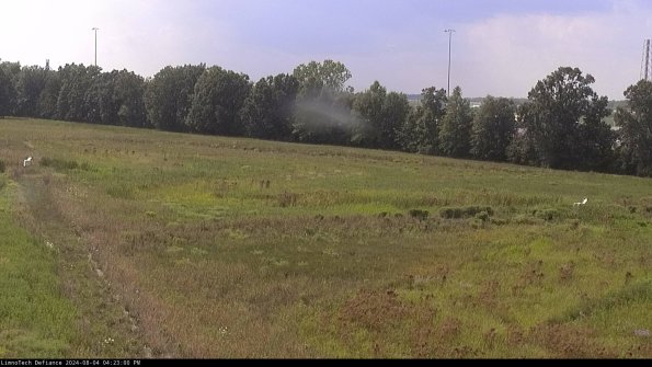 Cell 2_24-08-04_16-23-01-38