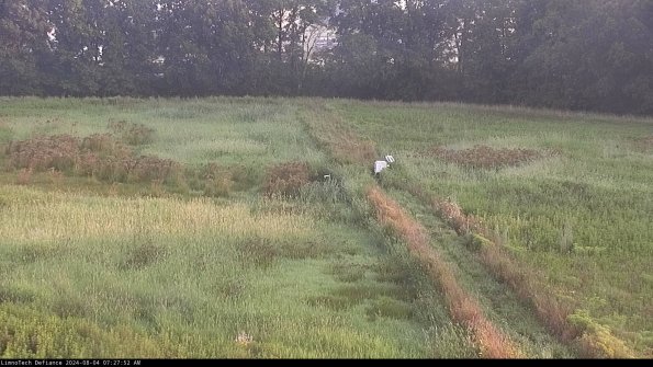 Cell 3 to 4_24-08-04_07-27-53-36