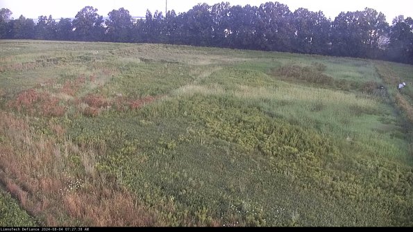 Cell 3_24-08-04_07-27-39-35