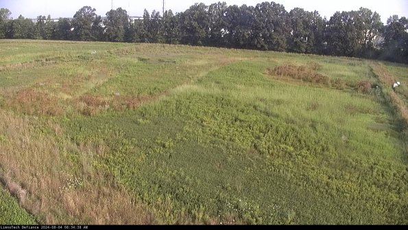 Cell 3_24-08-04_08-34-38-56