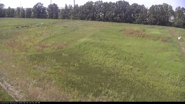 Cell 3_24-08-04_15-16-30-34